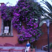  San Miguel de Allende, Mexico 2009